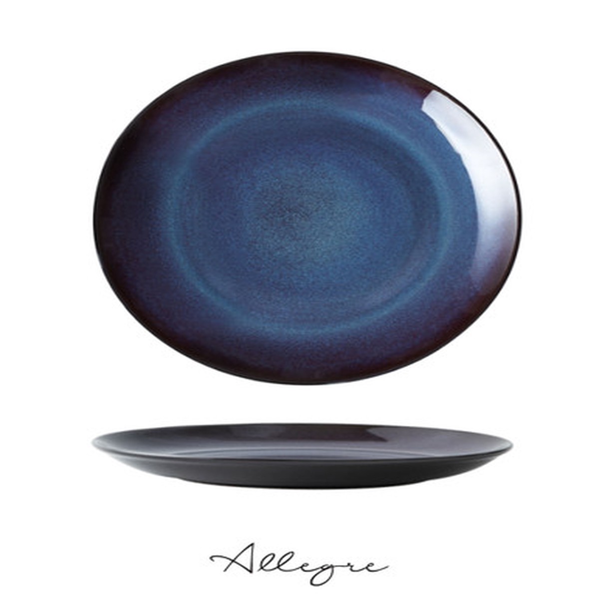 10.5 in. Dinner Plate/ Serving Plate for 2 to 3 Persons - Rustic Lapis