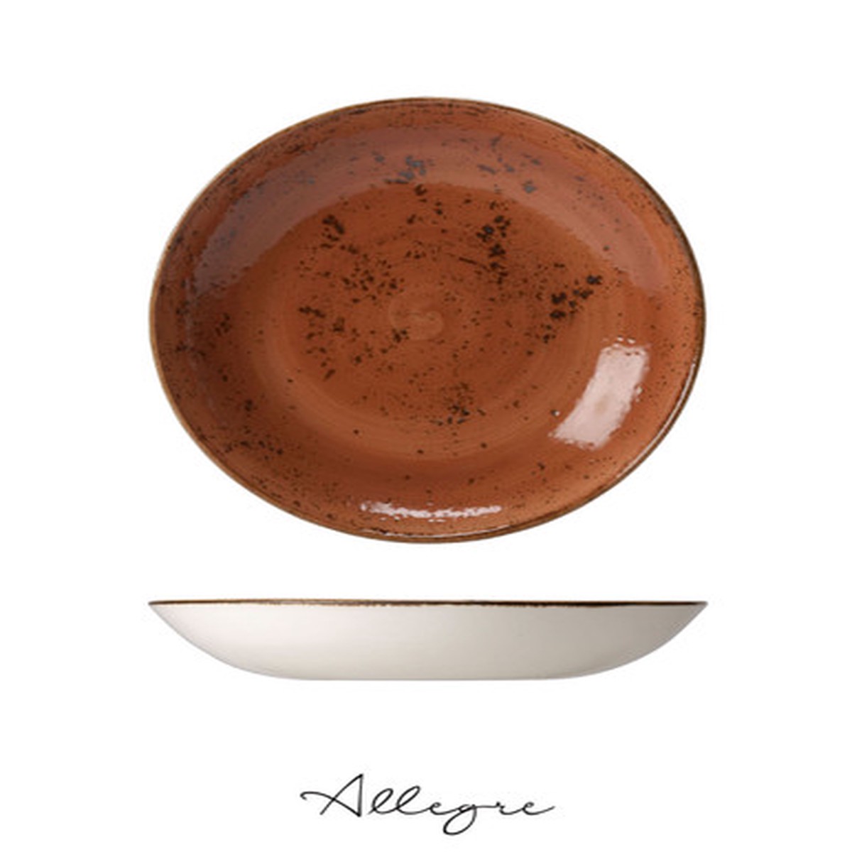 10 in. Shallow Serving Dish for 4 to 5 Persons 1.2 L - Speckled Terra