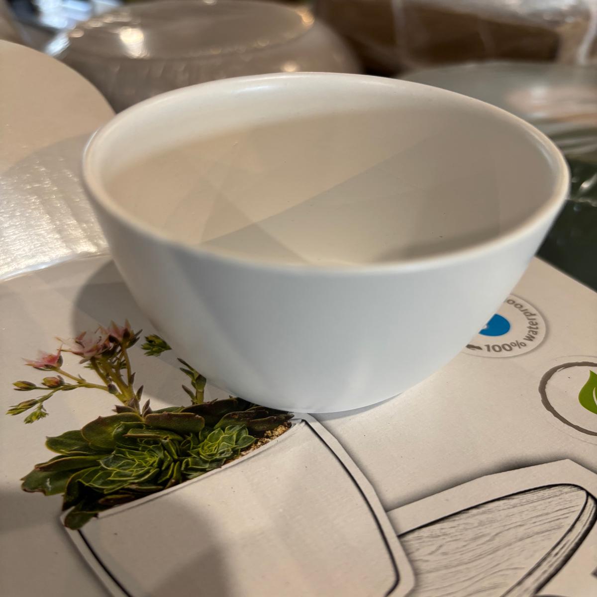 2.75 Matte Assorted Ceramic Pots