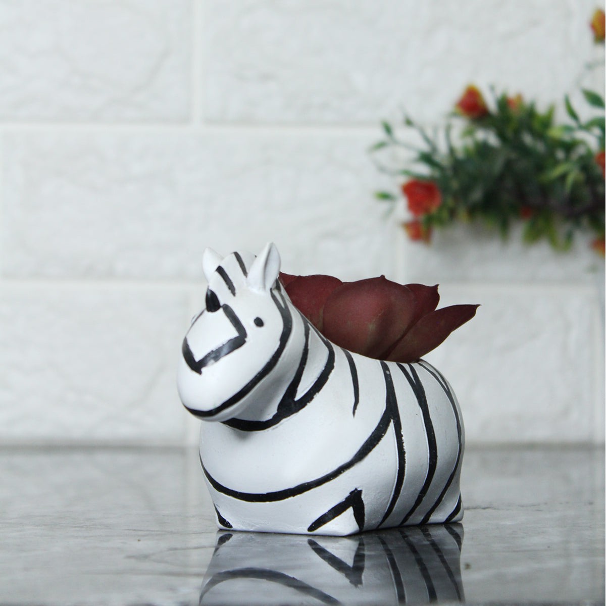 Zebra Succulent Pot for Home and Balcony Decoration