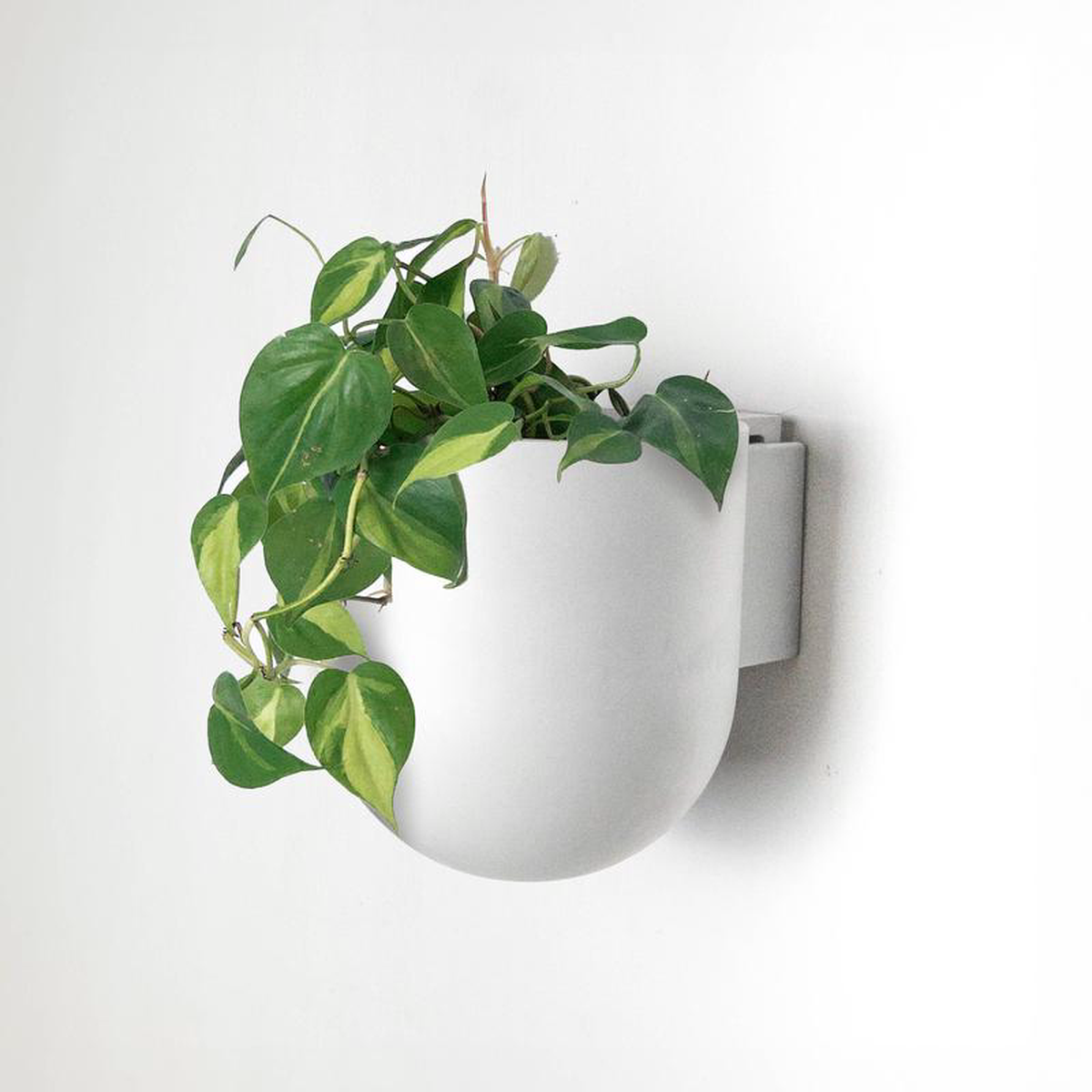 Wall Mounted Upcycled Planter Pot 55 inch Diameter