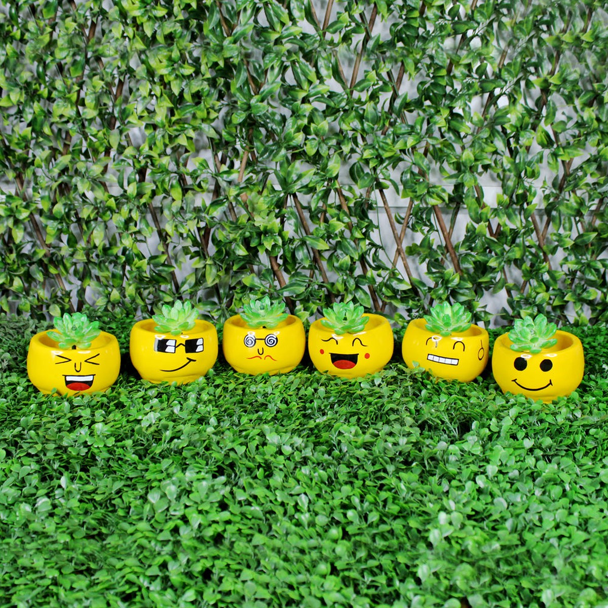 (Set of 6) Smiley Face Succulents Pot for Home Decoration